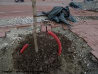 Imagine atasata: Reabilitare centru - 2015.12.12- 30.jpg
